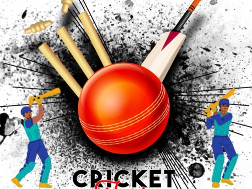 Cricket tournament feature image1